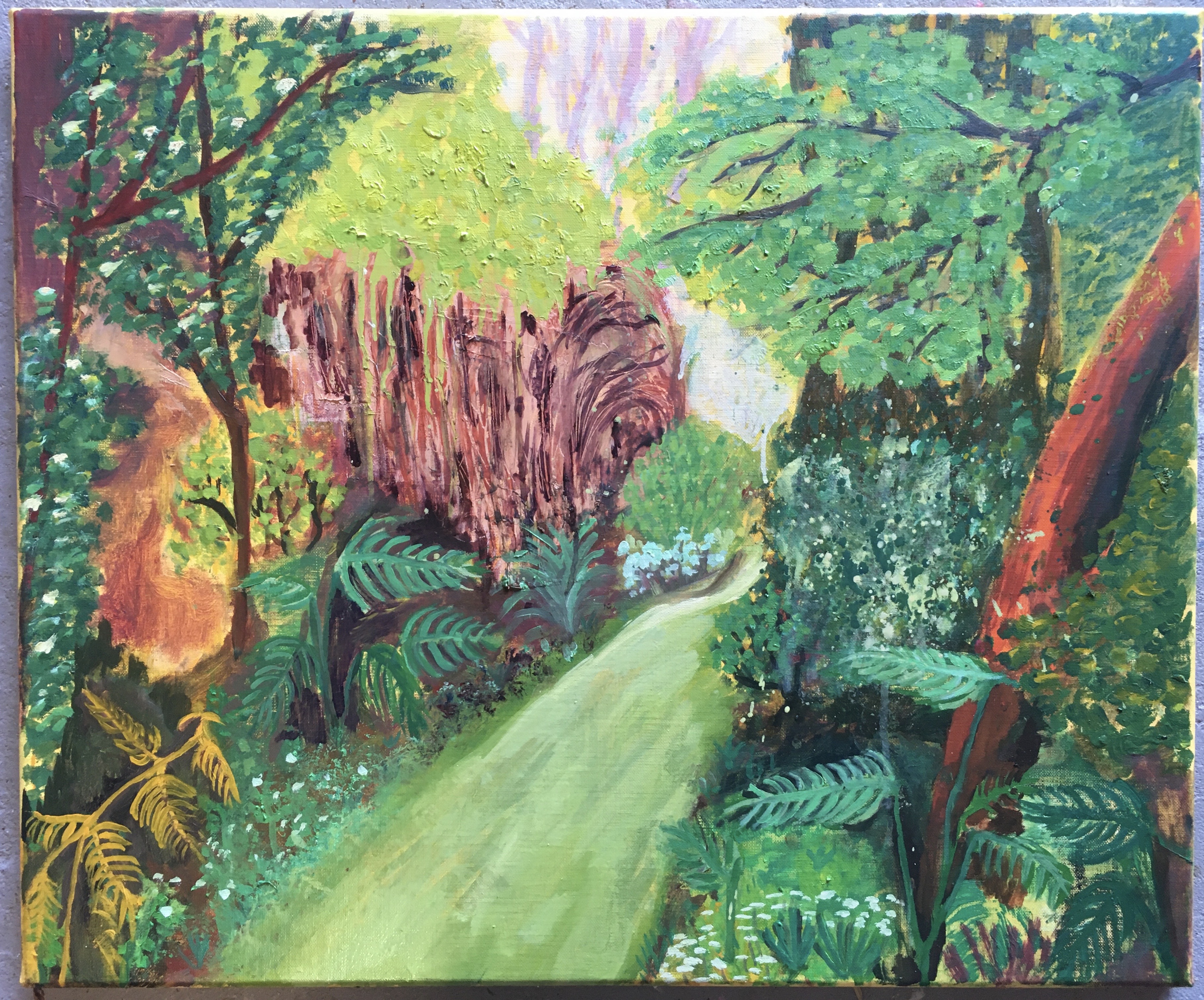 A Walk in the Forest